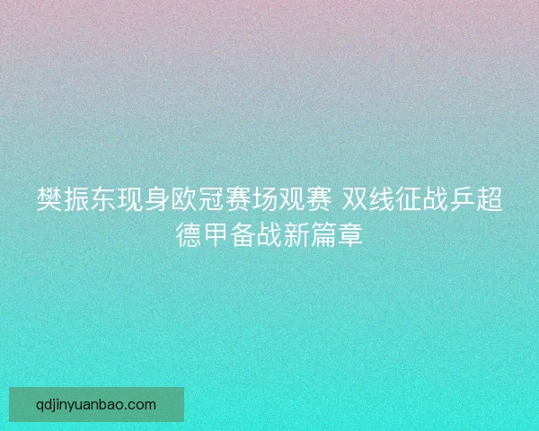 樊振东现身欧冠赛场观赛 双线征战乒超德甲备战新篇章