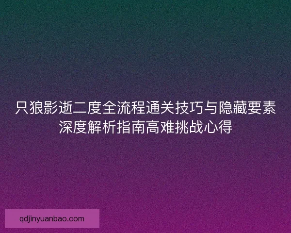 只狼影逝二度全流程通关技巧与隐藏要素深度解析指南高难挑战心得